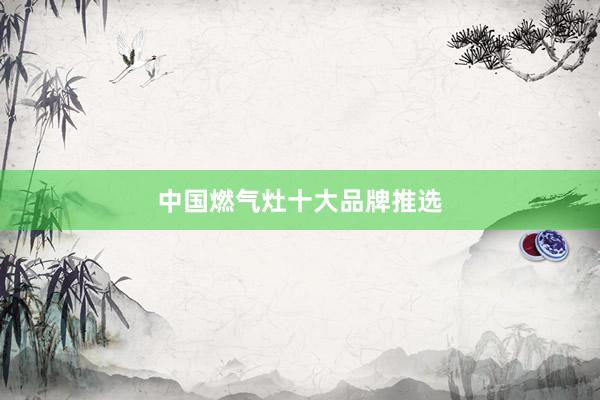 中国燃气灶十大品牌推选