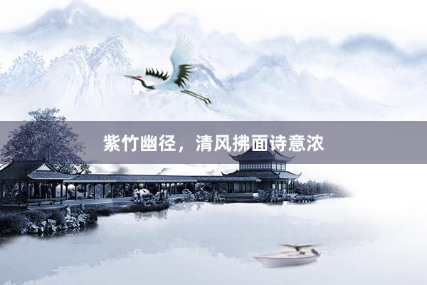 紫竹幽径，清风拂面诗意浓