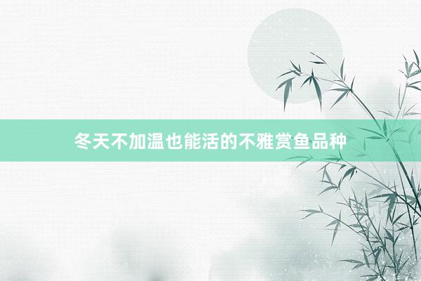 冬天不加温也能活的不雅赏鱼品种
